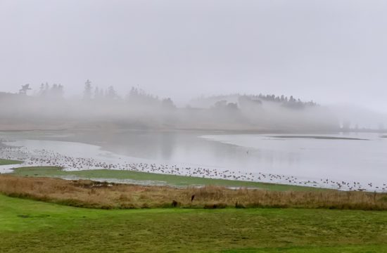Olympic Peninsula
