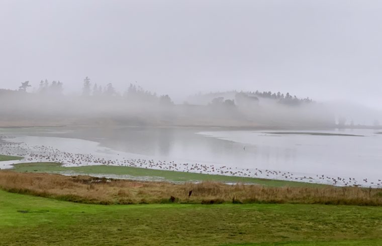 Olympic Peninsula
